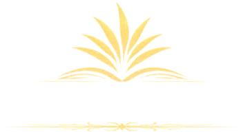 Agaves Landscape Construction & Irrigation